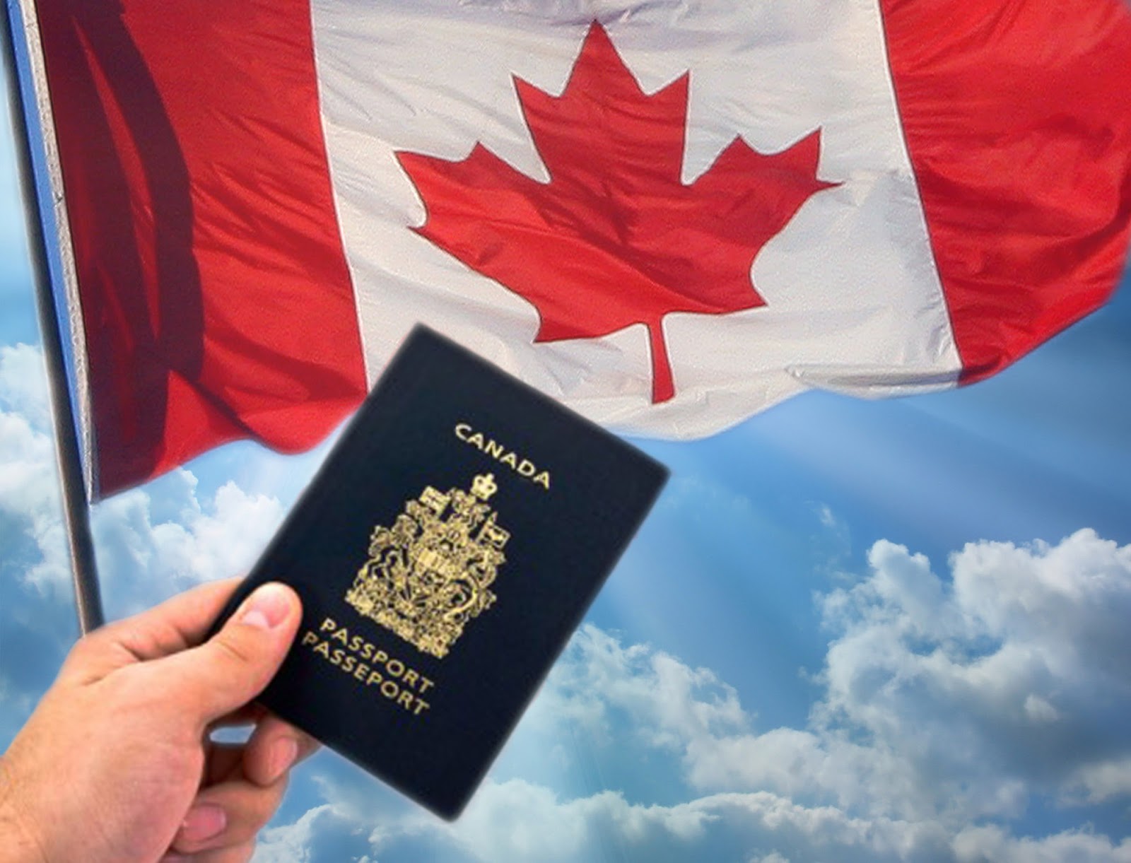 Navigating the Canada Study Visa Application Process with Visionworld IELTS and Immigration Pvt Ltd