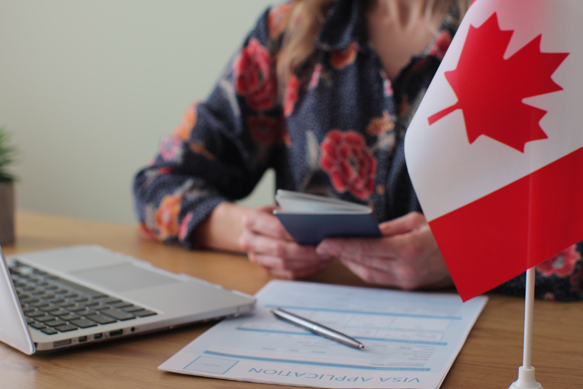 immigration consultant