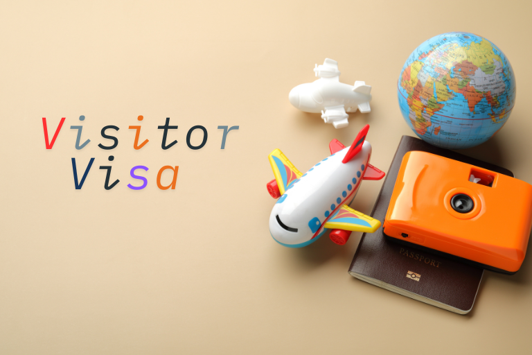 Visitor Visa Consultant